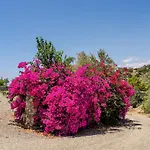 Beachfront Cliff House - Private Case de vacanță *