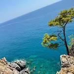 Beachfront Cliff House - Private *