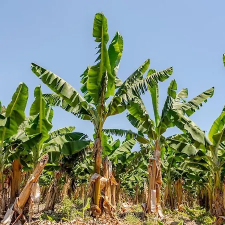 Holiday home Beachfront Cliff House - Private