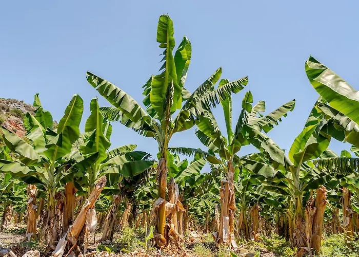 Casa vacanze Beachfront Cliff House - Private