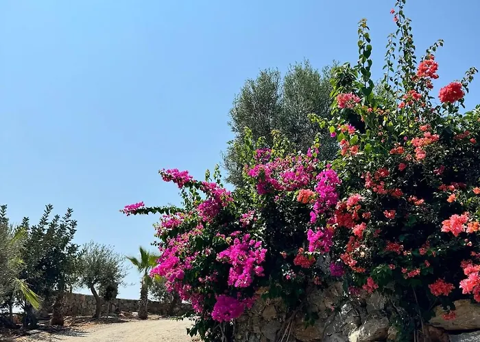 Holiday home Beachfront Cliff House - Private Alanya