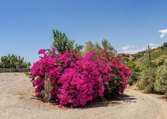Beachfront Cliff House - Private Holiday home *